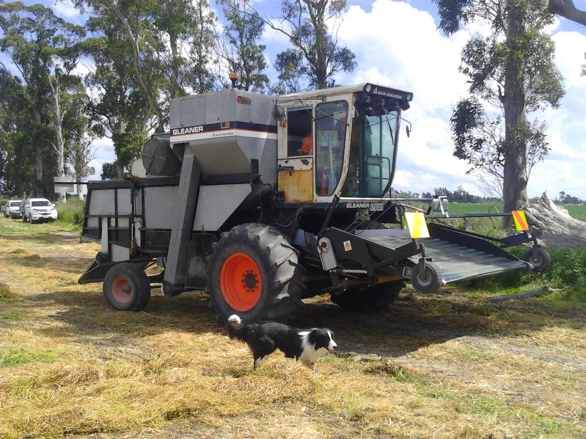 L2 converted for corn salad