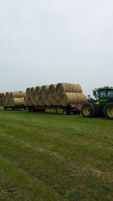 Viewing a thread - Stacking hay wagons with hay hooks? Who's done it?
