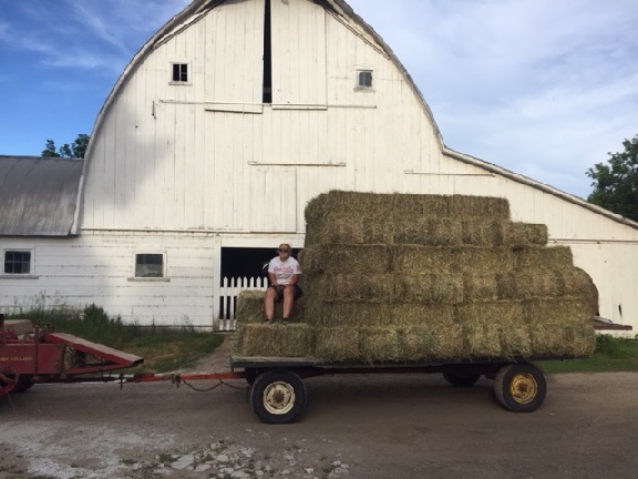 Viewing a thread - Stacking hay wagons with hay hooks? Who's done it?